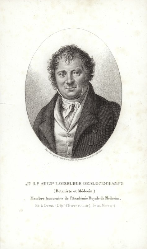 Jean Louis August Loiseleur-Deslongchamps autorstwa French School