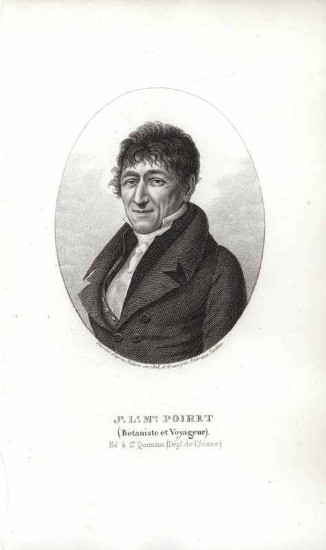 Jean Louis Marie Poiret autorstwa French School