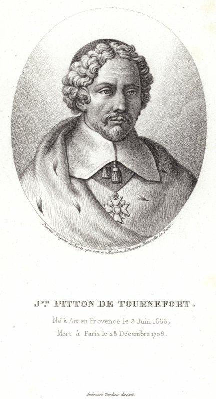 Joseph Pitton de Tournefort autorstwa French School