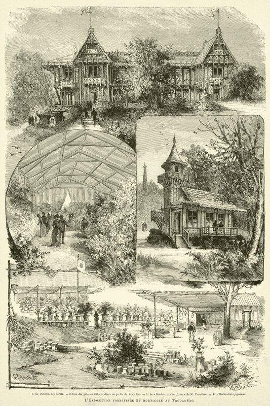 Wystawa leśno-ogrodnicza w Trocadero (rycina) autorstwa French School
