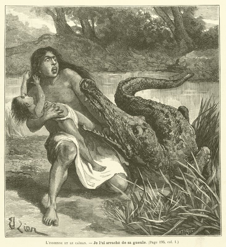 Indianin i Kajman (rycina) autorstwa French School