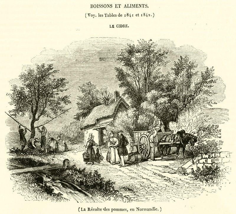 Zbiór jabłek w Normandii (grawerowanie) autorstwa French School