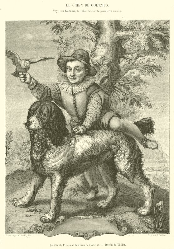 Syn Frisiusa i Pies Goltziusa (rycina) autorstwa French School