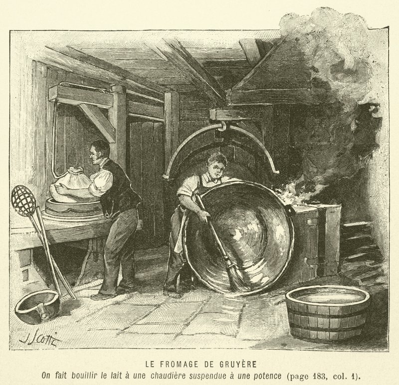 Ser Gruyere (grawerowany) autorstwa French School