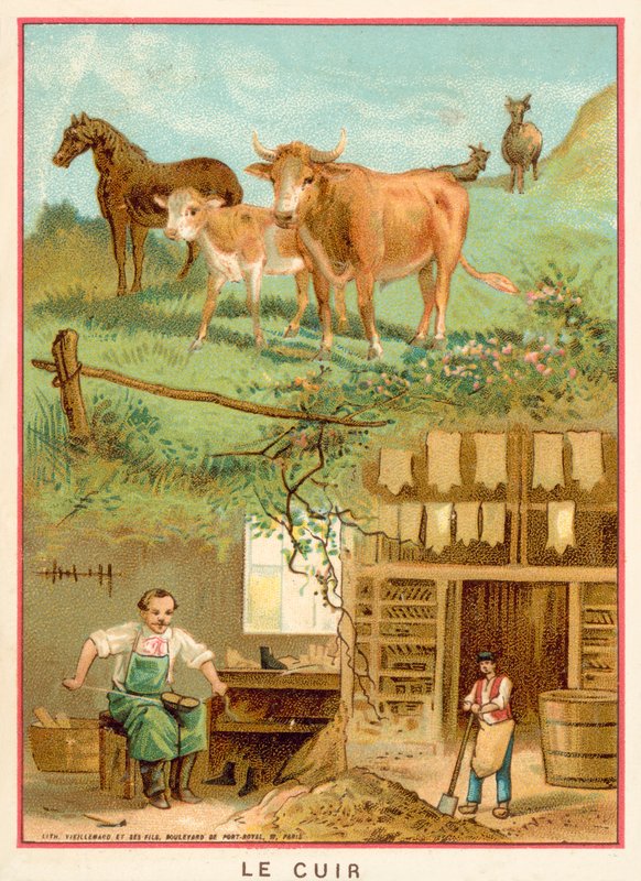 Skóra (chromolit) autorstwa French School