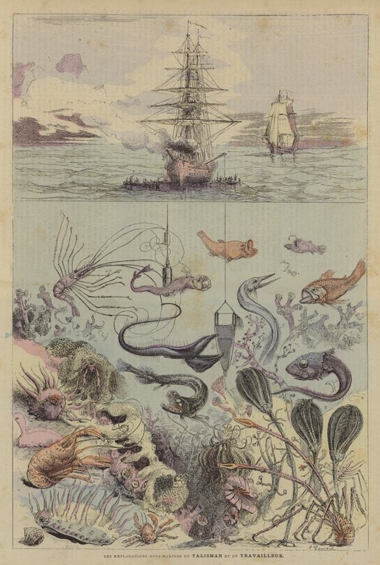 Les Explorations Sous-Marines Du Talisman Et Du Travailleur (kolorowa litografia) autorstwa French School
