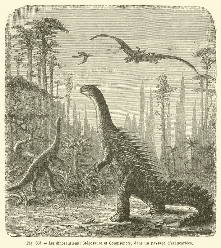 Dinozaury, Stegosaurus i Compsonote, w krajobrazie Araucariae (rycina) autorstwa French School
