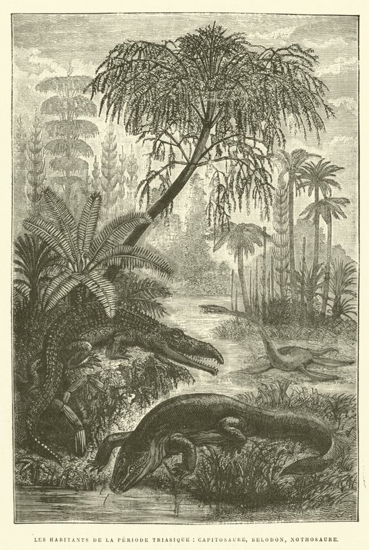 Mieszkańcy triasu, kapitozaur, belodon, notozaur (rycina) autorstwa French School