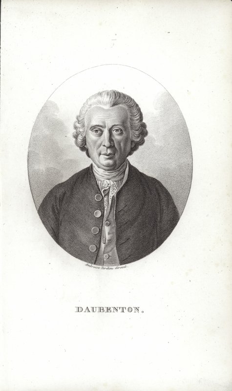 Louis-Jean-Marie Daubenton autorstwa French School