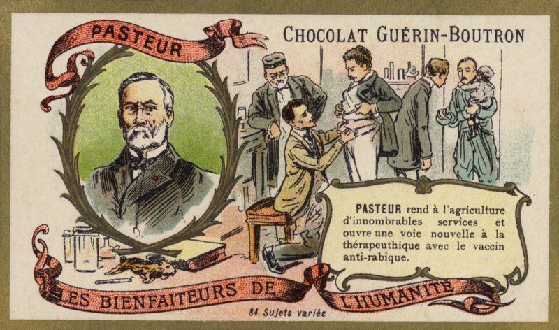 Louis Pasteur, francuski chemik i mikrobiolog (chromolitho) autorstwa French School
