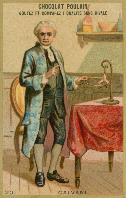 Luigi Galvani autorstwa French School