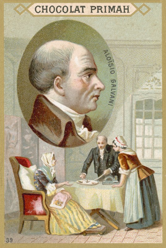 Luigi Galvani, włoski lekarz i fizyk autorstwa French School