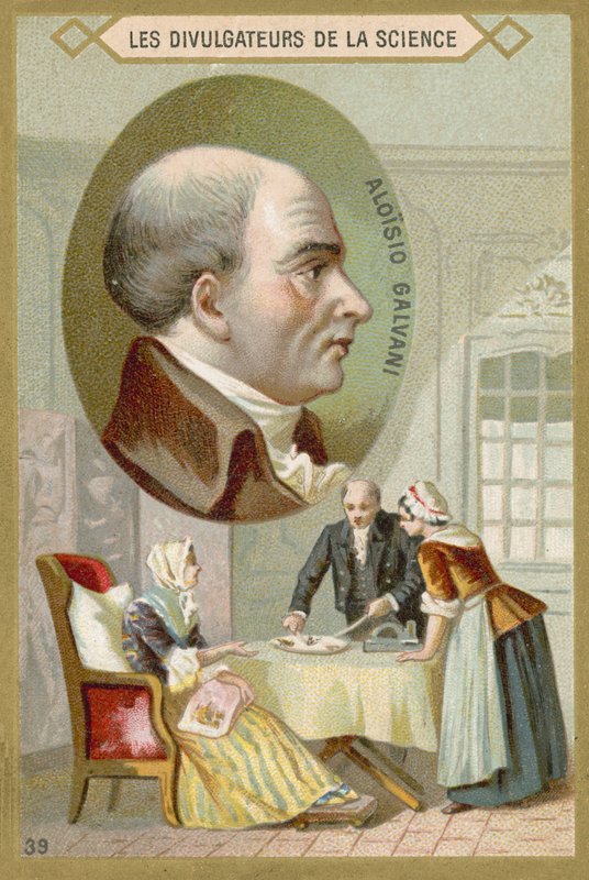 Luigi Galvani, włoski lekarz i fizyk autorstwa French School
