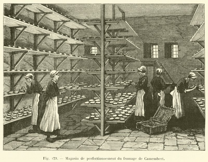 Ulepszacz serów Camembert (grawerowanie) autorstwa French School