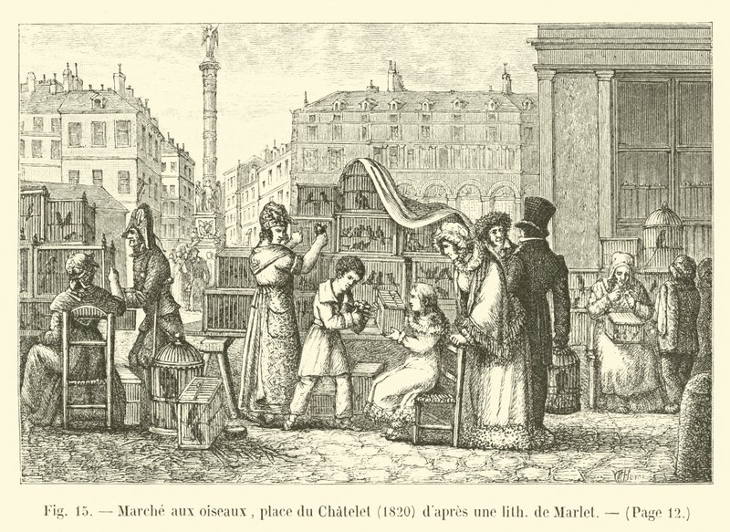 Spacer ptaków, place du Chatelet, 1820, po liturgii Marlet autorstwa French School