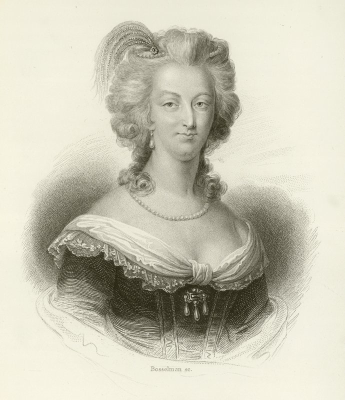 Maria Antonina autorstwa French School