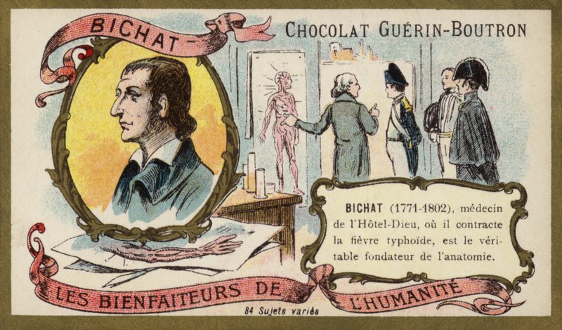 Marie Francois Xavier Bichat, francuski fizjolog i anatom (chromolitho) autorstwa French School