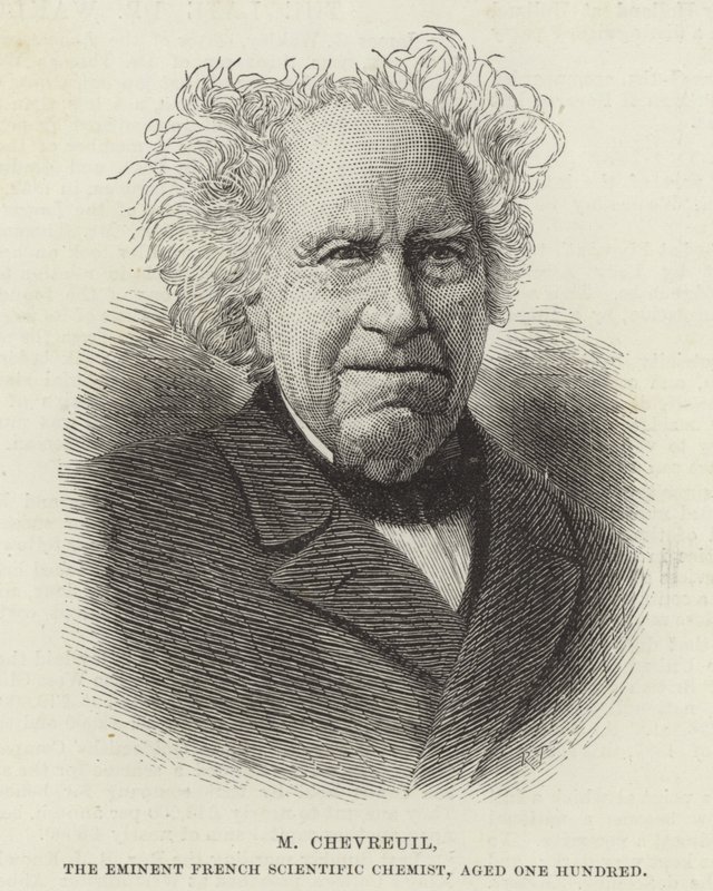 Michel Eugene Chevreul autorstwa French School