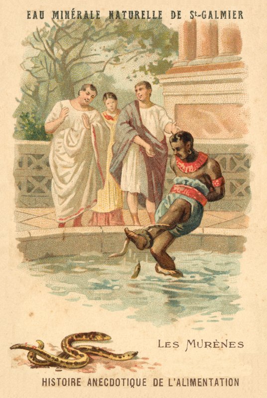 Mureny (chromolitho) autorstwa French School