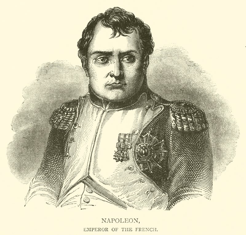 Napoleon, cesarz Francuzów autorstwa French School
