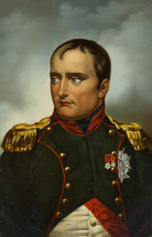 Napoleona I autorstwa French School