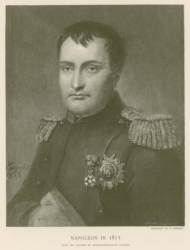 Napoleona w 1813 r. autorstwa French School