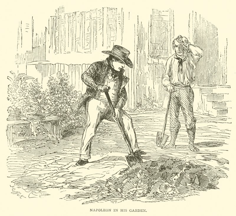 Napoleon w swoim ogrodzie (rycina) autorstwa French School