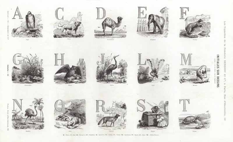 Strona z winiet typograficznych (grawerowanie) autorstwa French School