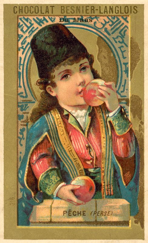 Brzoskwinie z Persji (chromolitho) autorstwa French School