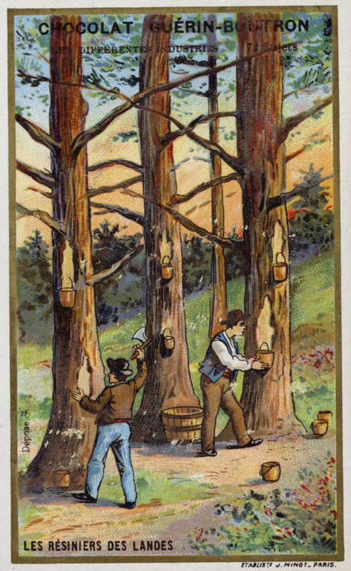 Kolektory żywicy sosnowej w Landes, Francja (chromolitho) autorstwa French School