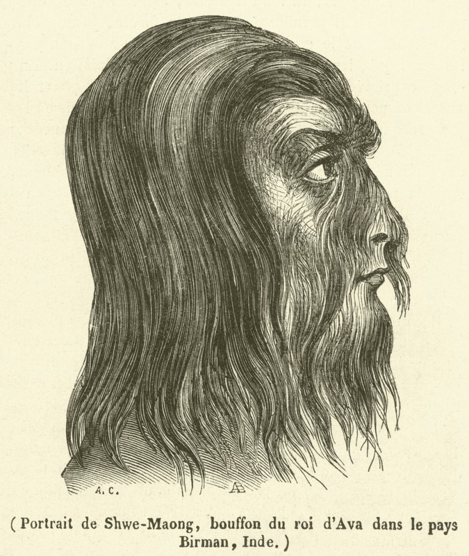 Portret Shwe-Maonga, błazna króla Avy w kraju birmańskim w Indiach (rycina) autorstwa French School