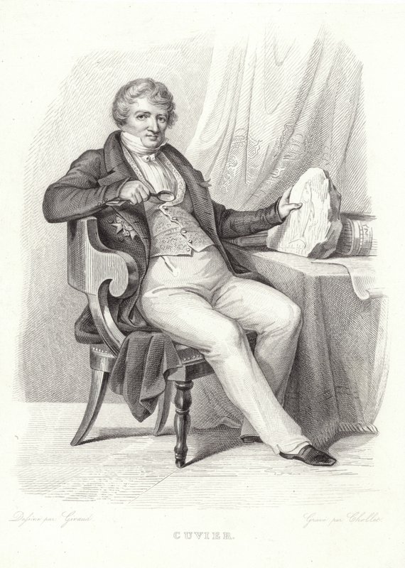 Portret George