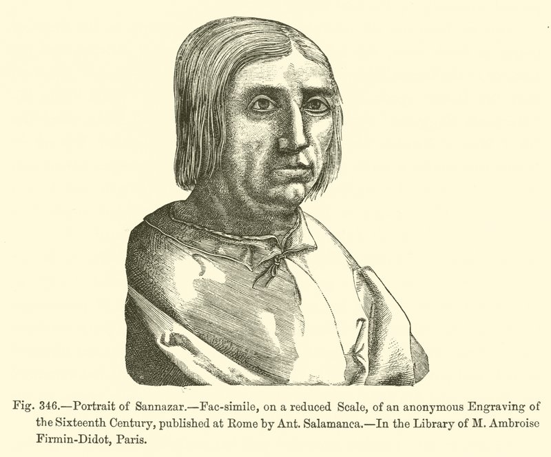 Portret Sannazara (rycina) autorstwa French School