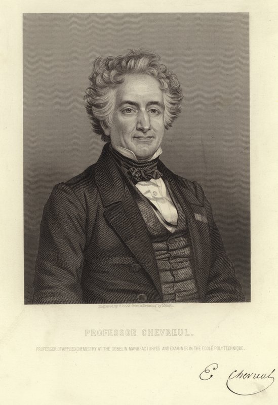 Profesor Chevreul autorstwa French School