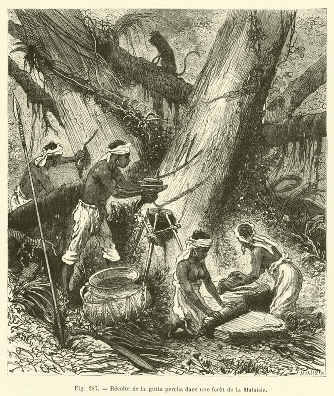 Zbieranie gutaperki w malezyjskim lesie (grawerowanie) autorstwa French School