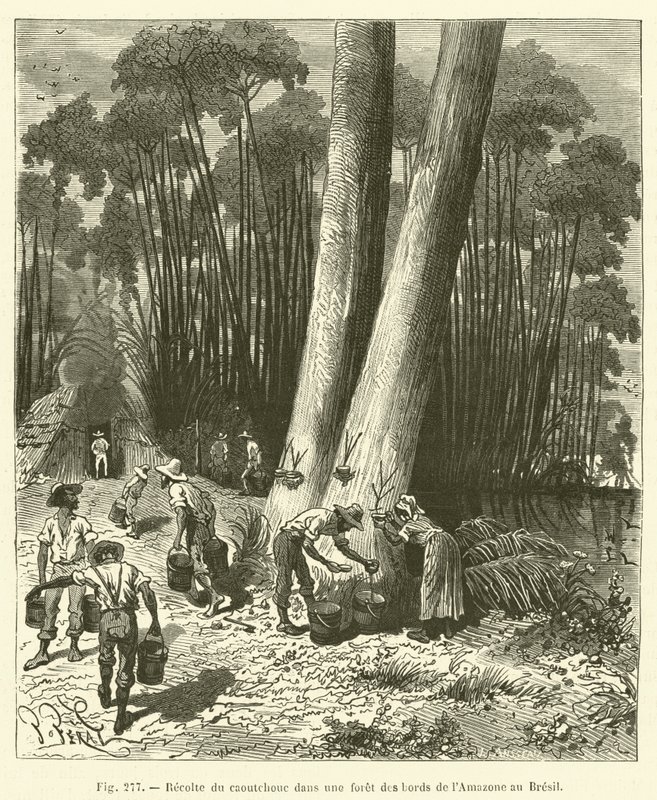 Zbieranie gumy w lesie nad brzegiem Amazonki w Brazylii autorstwa French School