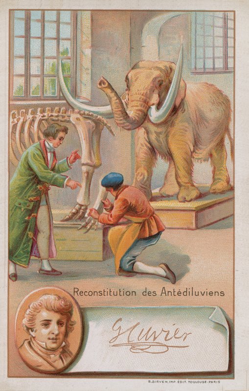 Rekonstrukcja okresu przedpotopowego autorstwa Georgesa Cuviera, francuskiego przyrodnika i zoologa (1769-1832). autorstwa French School