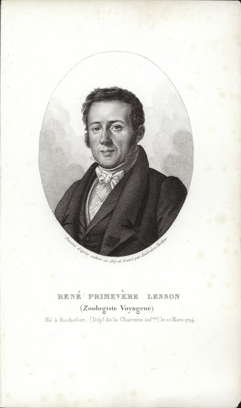 Lekcja René Primevère autorstwa French School