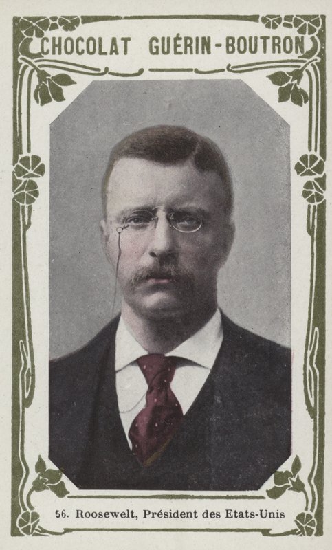 Roosevelt, prezydent Stanów Zjednoczonych (kolorowe zdjęcie) autorstwa French School