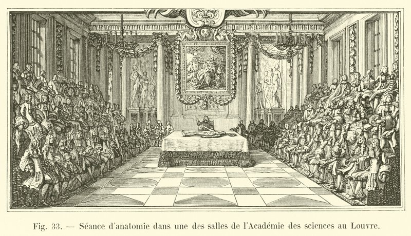 Sesja anatomii w jednej z sal Akademii Nauk w Luwrze autorstwa French School