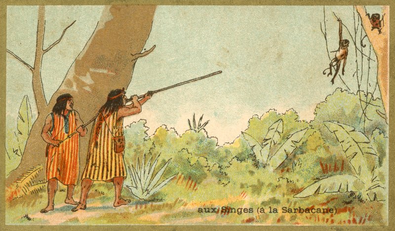 Indianie południowoamerykańscy polujący na małpy z dmuchawkami (chromolitho) autorstwa French School