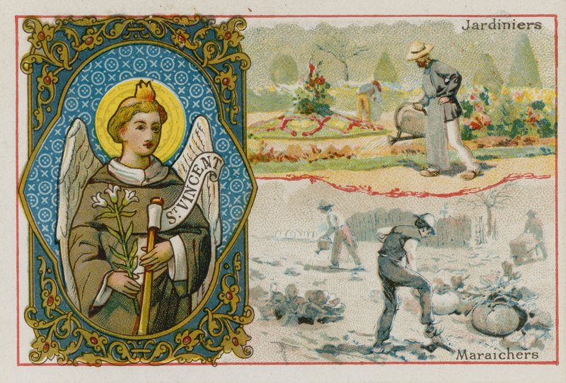 St Vincent, ogrodnicy i plantatorzy warzyw autorstwa French School