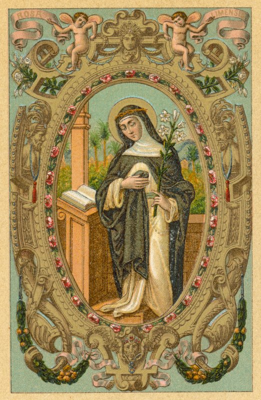 Stoi Rosa Limensis autorstwa French School