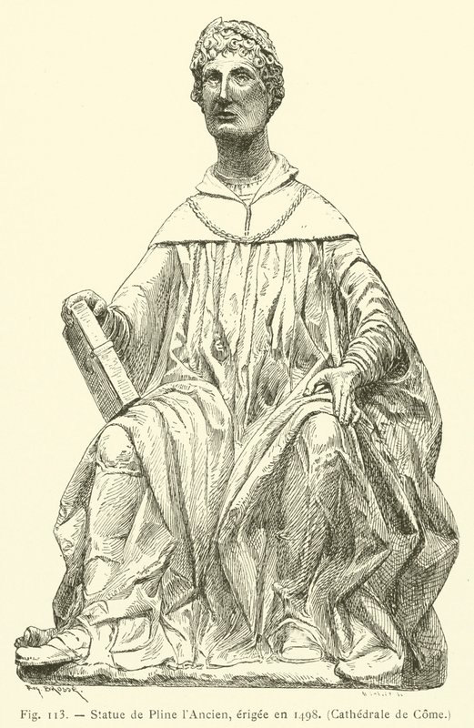 Posąg Pliniusza Starszego, wzniesiony w 1498 r., Katedra Przyjść (rycina) autorstwa French School