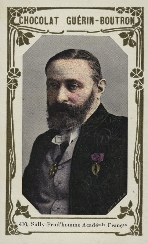 Sully-Prudhomme, Akademia Francuska (kolorowe zdjęcie) autorstwa French School
