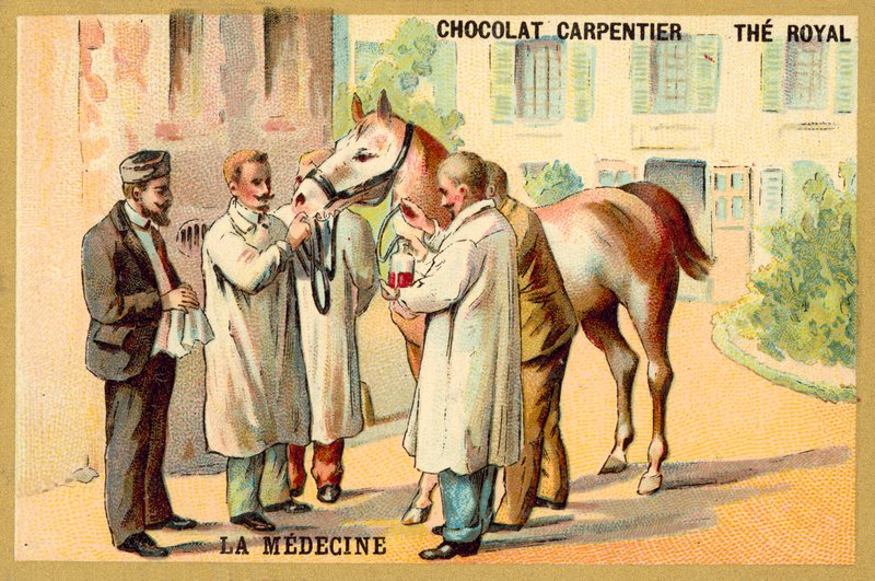 Pobieranie krwi z konia (chromolitho) autorstwa French School