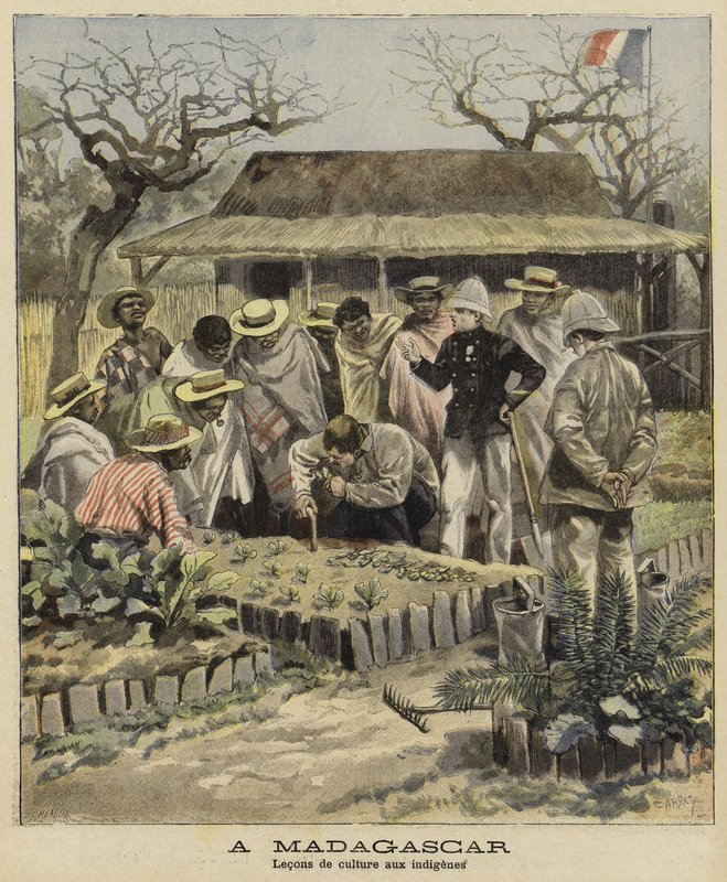 Nauczanie tubylców technik rolniczych, Madagaskar, 1897 autorstwa French School