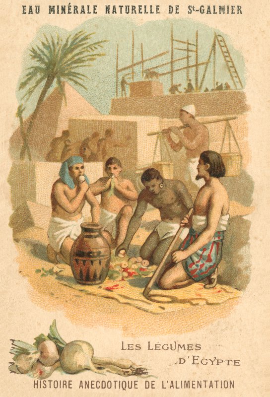 Warzywa Egiptu (chromolitho) autorstwa French School