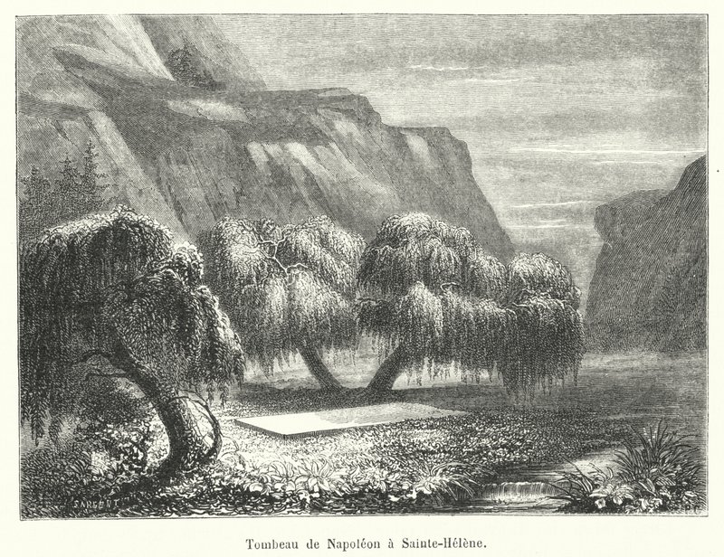 Grób Napoleona w Sainte-Helene (rycina) autorstwa French School