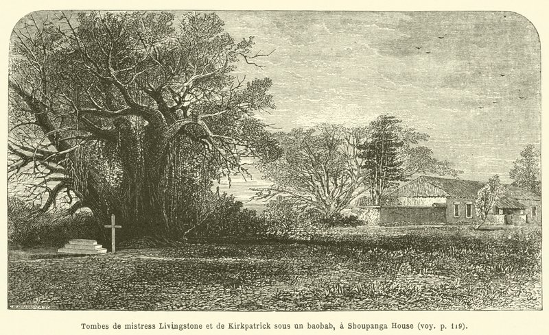 Groby pani Livingstone i Kirkpatrick pod baobabem w Shoupanga House (rycina) autorstwa French School